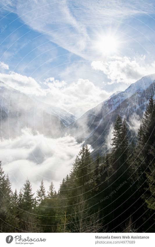 Wunderschöne Berglandschaft mit schneebedeckten Bergen und Tannen im Vordergrund im Zillertal in Österreich berglandschaft schneebedeckte berge über den wolken