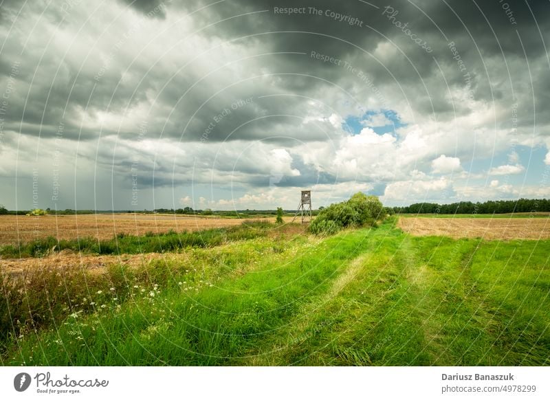 Der Weg durch eine Wiese und Wolken zum Himmel Cloud Gras Feld Natur Landschaft ländlich grün Sommer Horizont Straße Bahn Sonnenlicht weiß Pflanze Saison