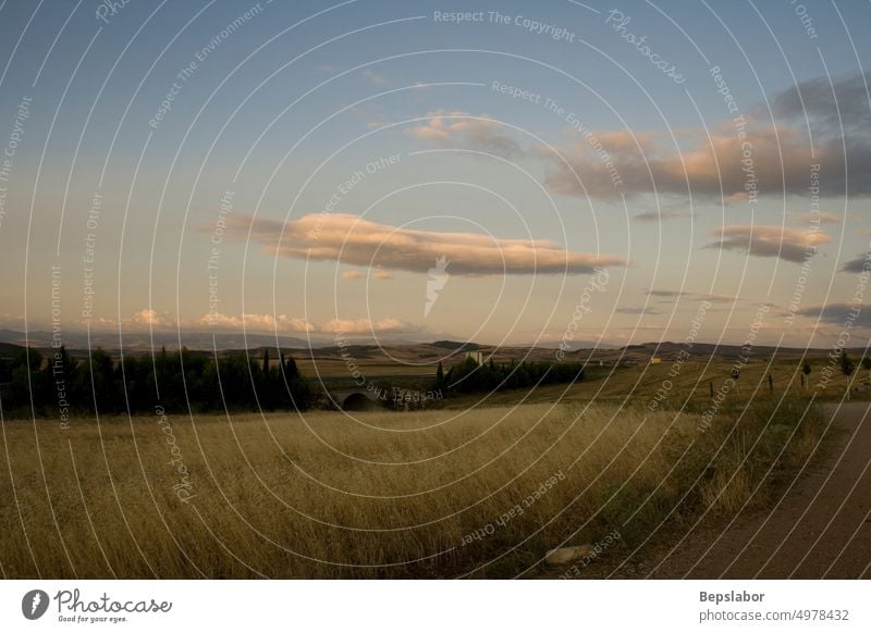 Spanische Landschaft in der Sommersaison getrocknet Straße Weg wege des hl. james spanische landschaft Buchse Ackerbau Ballen Camino Anspruch Wolken wolkig