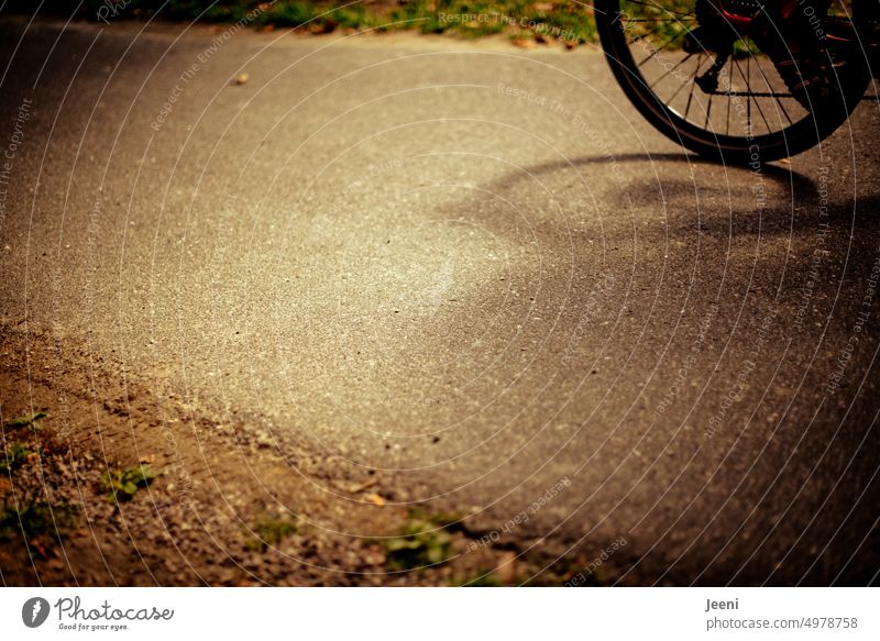 Fahrrad im vorbeifahren Rad rund Bewegung Verkehrsmittel umweltfreundlich nachhaltig unterwegs Wege & Pfade Mobilität Schatten Schnappschuss Verkehrswende