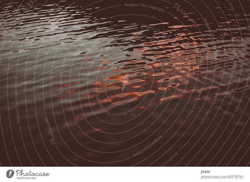 Sonnenglanz auf der Wasseroberfläche See glänzend Oberfläche Meer Reflexion & Spiegelung Sonnenuntergang Licht rot Sonnenlicht schimmern Sommer Abend Wellen