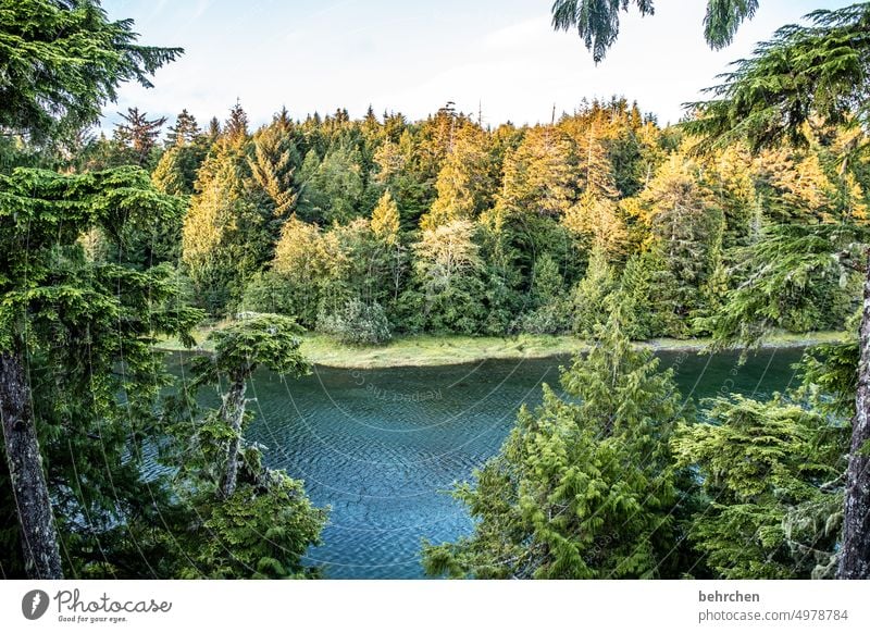 vancouver island Himmel besonders Natur Küste Meer Landschaft British Columbia Wasser Abenteuer Kanada Nordamerika Farbfoto fantastisch Vancouver Island Ferne