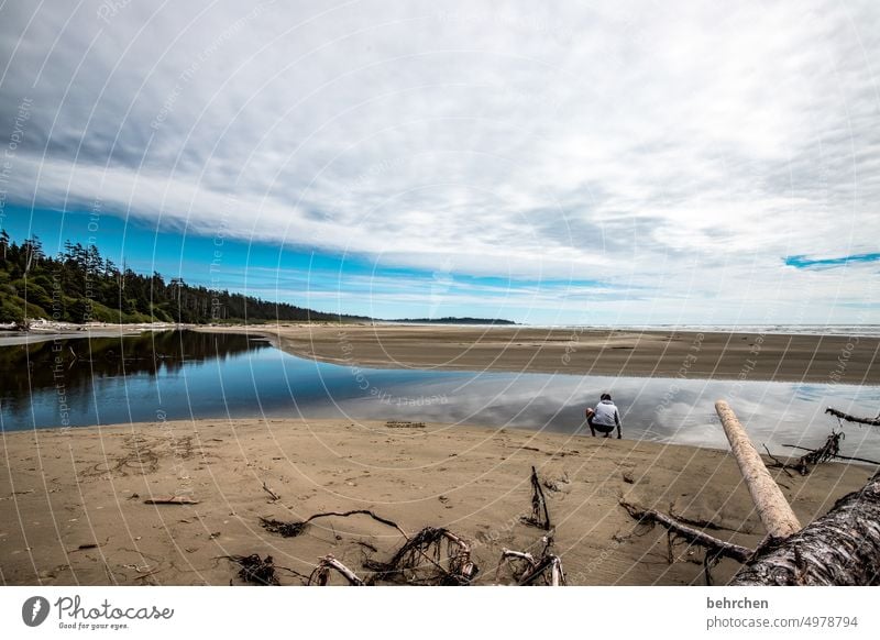 schätze finden British Columbia Long Beach Vancouver Island Kanada Nordamerika besonders fantastisch Einsam Einsamkeit Ferne außergewöhnlich Abenteuer Wasser