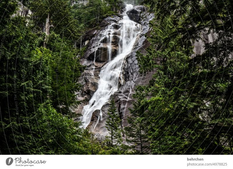 weil alles fließt British Columbia Nordamerika Kanada beeindruckend fantastisch Fernweh Ferien & Urlaub & Reisen Tourismus Ausflug Abenteuer Ferne Natur