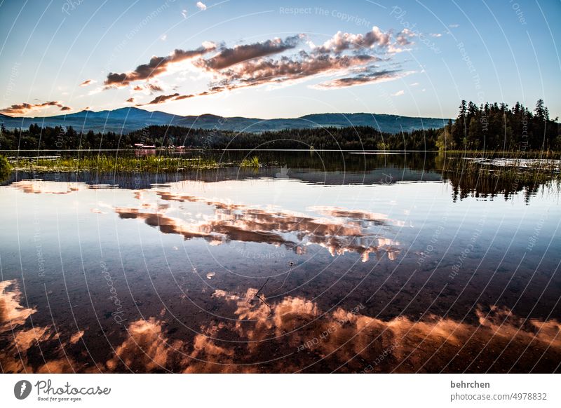 spiegelwelt Wasser dutchlake clearwater Idylle entspannen genießen träumen erholsam Erholung stühle romantisch Wolken Sonnenuntergang Abenddämmerung