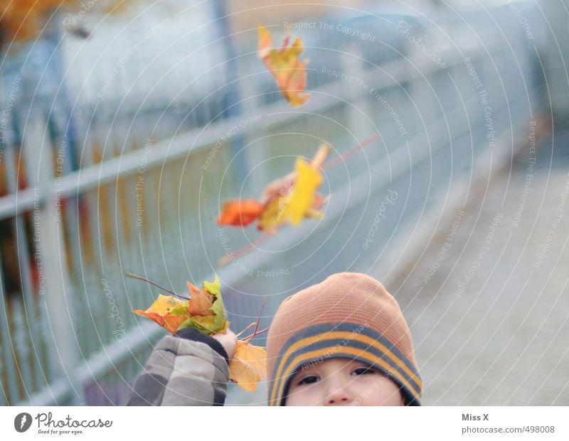 Laubschlacht Spielen Kinderspiel Mensch Kleinkind Kindheit 1 1-3 Jahre 3-8 Jahre Herbst Blatt Mütze werfen Gefühle Stimmung Freude Fröhlichkeit Herbstlaub