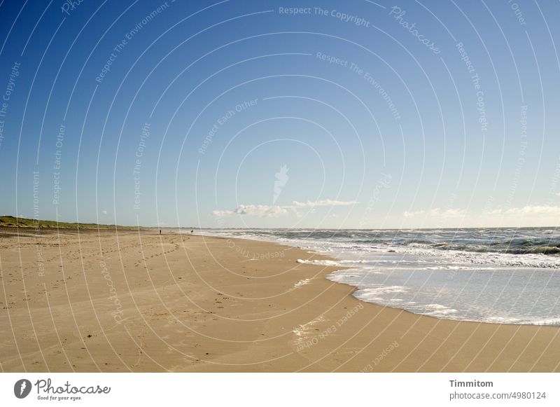 Nicht viel los – schön Nordsee Meer Wellen Gischt Strand Sand Küste Dünen Spuren Himmel Horizont Dänemark Ferien & Urlaub & Reisen Natur blau Außenaufnahme