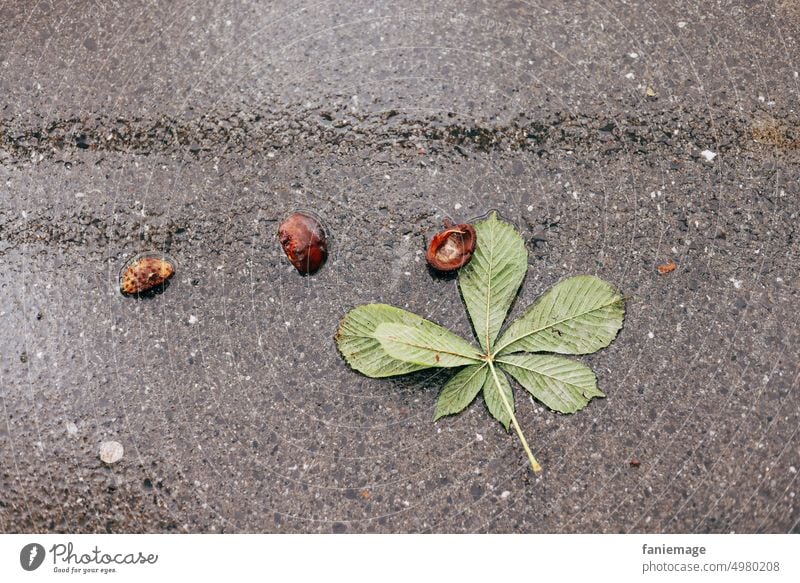 Kastanienblatt im Regen Boden Asphalt Blatt braun grün grau Regenwetter regnerisch Wasser Herbstwetter herbstlich Mistwetter schlechtes Wetter Beton am Boden