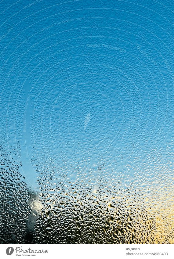 Fenster an einem schönen, kalten Tag Kondenswasser Fensterscheibe Tropfen Wasser Wassertropfen nass Glas Wetter Menschenleer Reflexion & Spiegelung Sonne Kälte