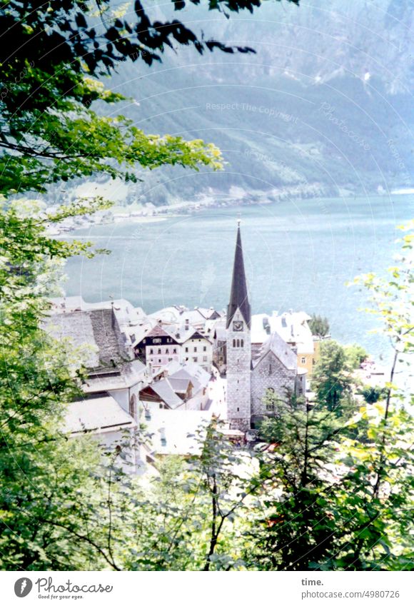 Die Kirsche im Dorf Kirche Berge Wasser Ufer Küste sonnig Gebirge Baum Äste Häuser wohnen Idylle Ferien Urlaub Reisen Kirchturm