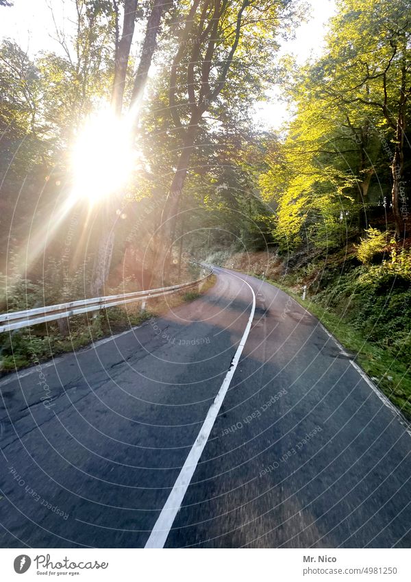 der Sonne entgegen Sonnenstrahlen Sonnenlicht Mittelstreifen unterwegs überholverbot Kurve Leitplanke Straßenbegrenzung Landstraße Wege & Pfade Asphalt