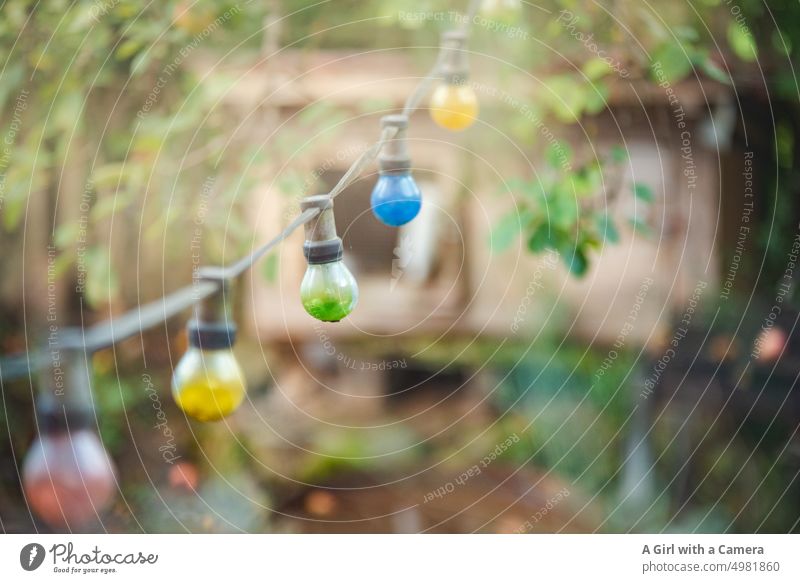 bunte Glühbirnenkette in Gartenumgebung Lichterketten Fahnentuch rot gelb grün blau freundlich Stil spielerisch herbstlich Warme Farbe Baum Glück Farbigkeit