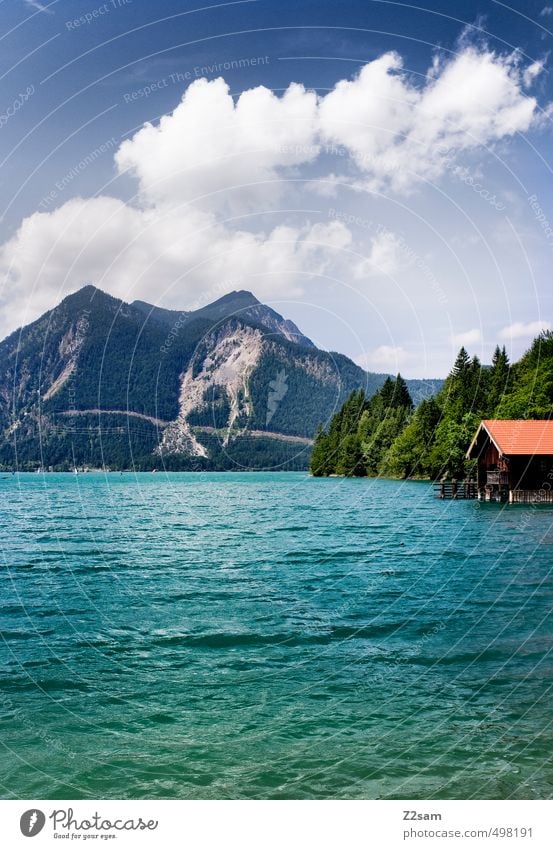 Walchensee Natur Landschaft Wasser Himmel Wolken Sommer Schönes Wetter Baum Alpen Berge u. Gebirge Seeufer ästhetisch natürlich blau grün ruhig Einsamkeit