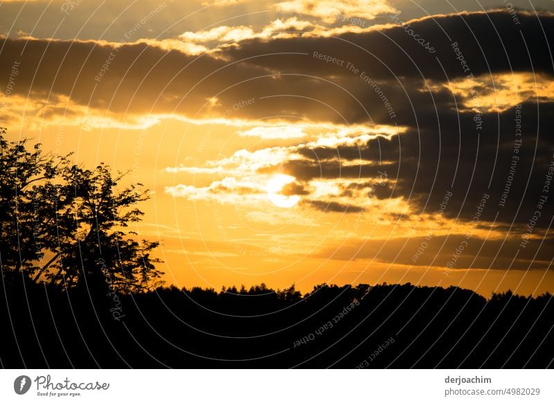 Die Natur geht schlafen. Ein großes dunkles  Wolkenband hinter dem sich die Abendsonne versteckt. Sonnenuntergang Abenddämmerung Himmel Landschaft schön