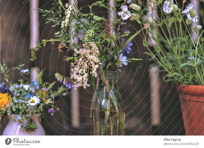 Feld und Wiesenblumen in unterschiedlichen Vasen Blumen Vase mit Blumen Sommer Dekoration & Verzierung Natur Farbfoto Blumenstrauß Menschenleer Pflanze