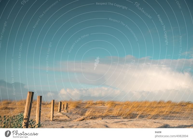 Blau ist eine warme Farbe Strand Stranddüne Himmel Sand Küste Ferien & Urlaub & Reisen Wolken Düne Erholung Natur Landschaft Sommer Außenaufnahme Umwelt Dünen