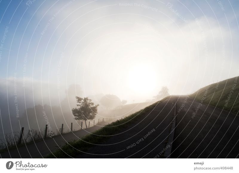 hinauf Umwelt Natur Landschaft Himmel Nebel Wiese natürlich blau Nebelgrenze Farbfoto Außenaufnahme Menschenleer Morgen Lichterscheinung Sonnenlicht