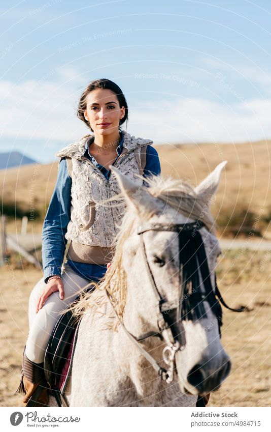 Frau reitet auf weißem Pferd in der Natur Reiter ländlich hell Sonnenlicht pferdeähnlich Sitzen Pferderücken Sattel Erholung Lifestyle züchten Bauernhof