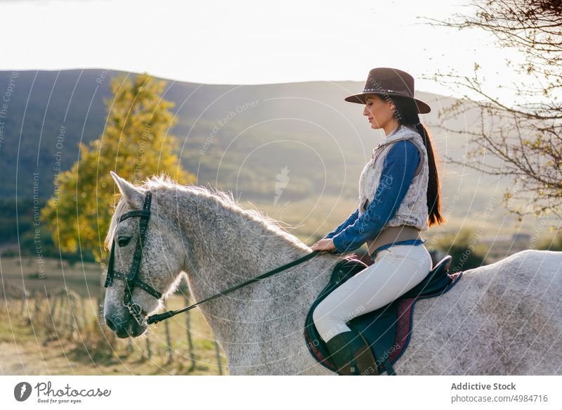 Frau reitet auf weißem Pferd in der Natur Reiter ländlich hell Sonnenlicht pferdeähnlich Sitzen Pferderücken Sattel Erholung Lifestyle züchten Bauernhof