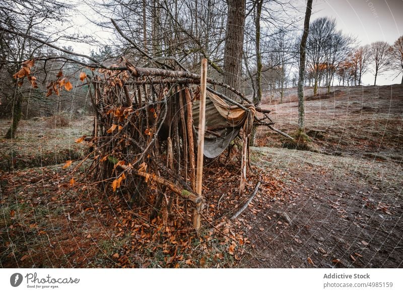 Verlassene Hütte inmitten des Waldes alt Natur hölzern reisen Landschaft Gebäude Holz Herbst Cottage Kabine grün Hintergrund Baum im Freien Architektur Gras