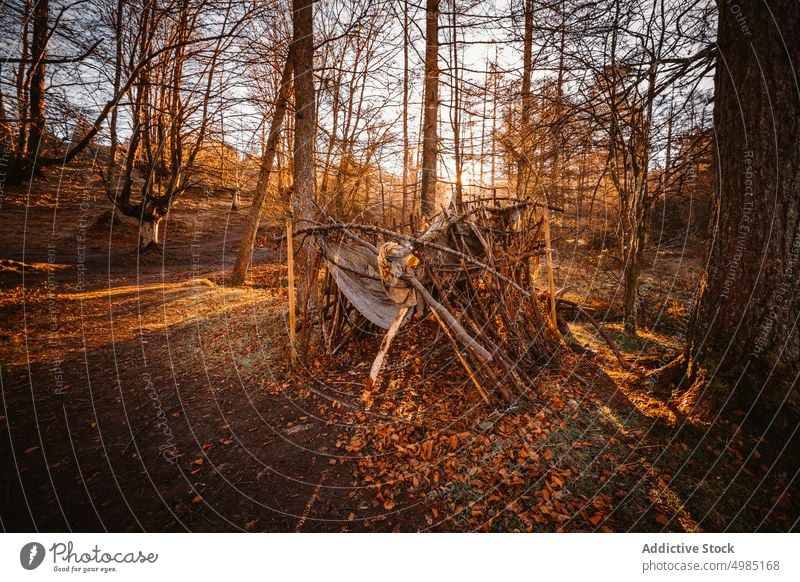 Verlassene Hütte inmitten des Waldes alt Natur hölzern reisen Landschaft Gebäude Holz Herbst Cottage Kabine grün Hintergrund Baum im Freien Architektur Gras