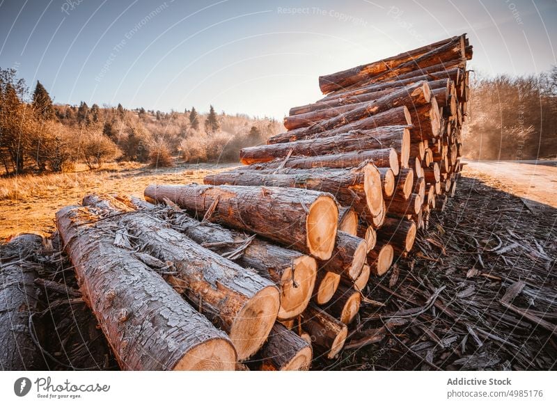 Gestapelte Stämme Holz Nutzholz Totholz protokolliert Baum Berge Natur Wald Stapel Hintergrund gestapelt hölzern Industrie Berge u. Gebirge Winter natürlich