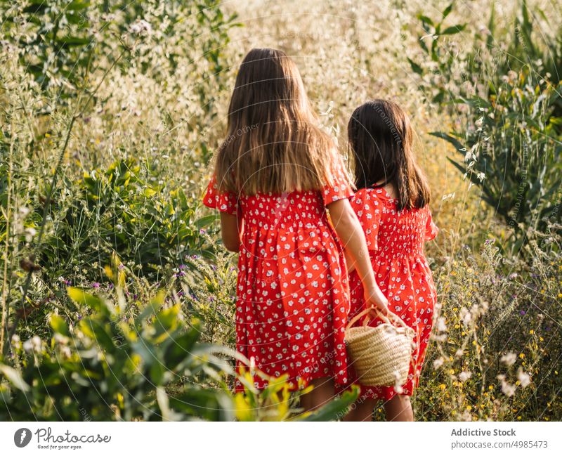 Mädchen in roten Kleidern gehen im Feld Freund Spaziergang Natur Sommer Schwester erkunden Abenteuer Korb Kindheit Spaß neugierig Familie wenig Geschwisterkind