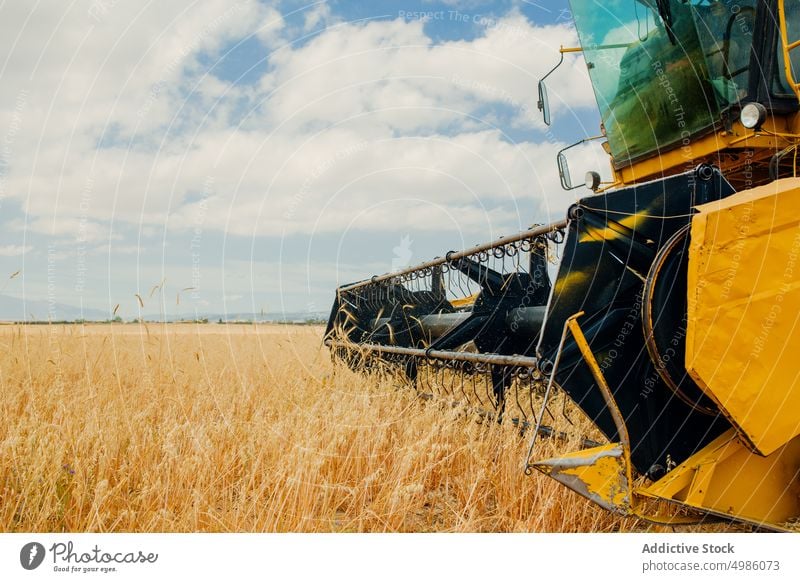 Mähdrescher bei der Arbeit in einem Getreidefeld Ackerbau Gerste Müsli Landschaft Schmutz Umwelt Gerät Bauernhof Feld Korn Ernte industriell im Freien mähen