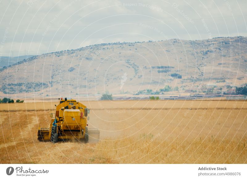 Mähdrescher bei der Arbeit in einem Getreidefeld Ackerbau Gerste Müsli Landschaft Schmutz Umwelt Gerät Bauernhof Feld Korn Ernte industriell im Freien mähen