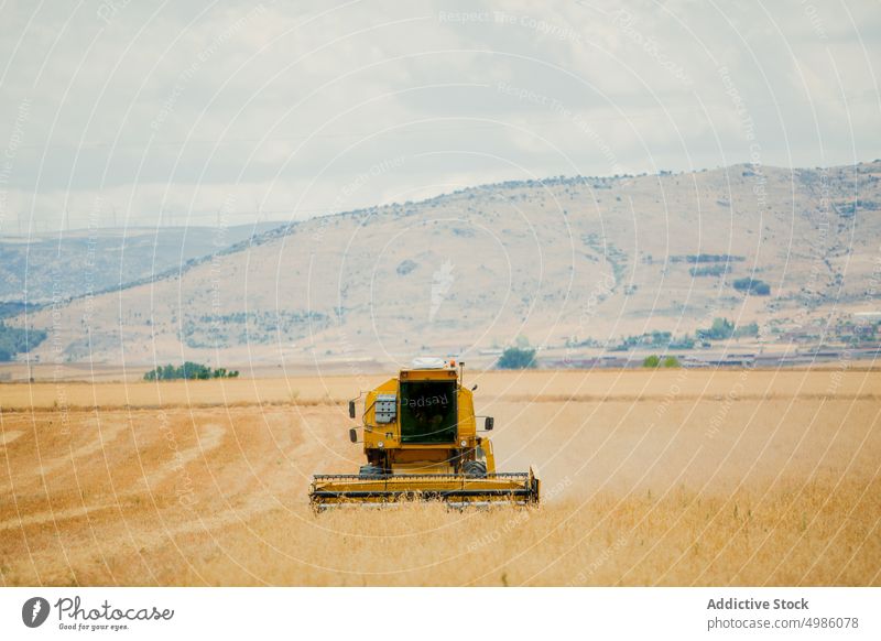 Mähdrescher bei der Arbeit in einem Getreidefeld Ackerbau Gerste Müsli Landschaft Schmutz Umwelt Gerät Bauernhof Feld Korn Ernte industriell im Freien mähen