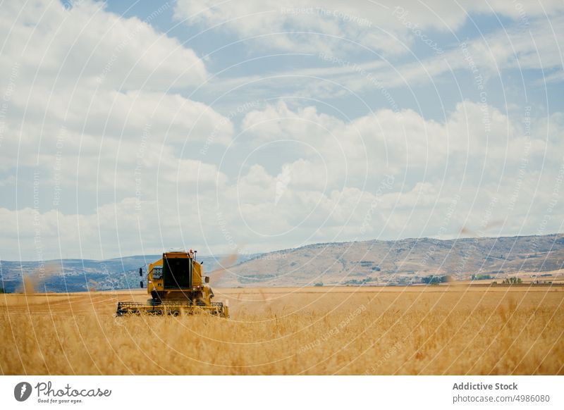 Mähdrescher bei der Arbeit in einem Getreidefeld Ackerbau Gerste Müsli Landschaft Schmutz Umwelt Gerät Bauernhof Feld Korn Ernte industriell im Freien mähen