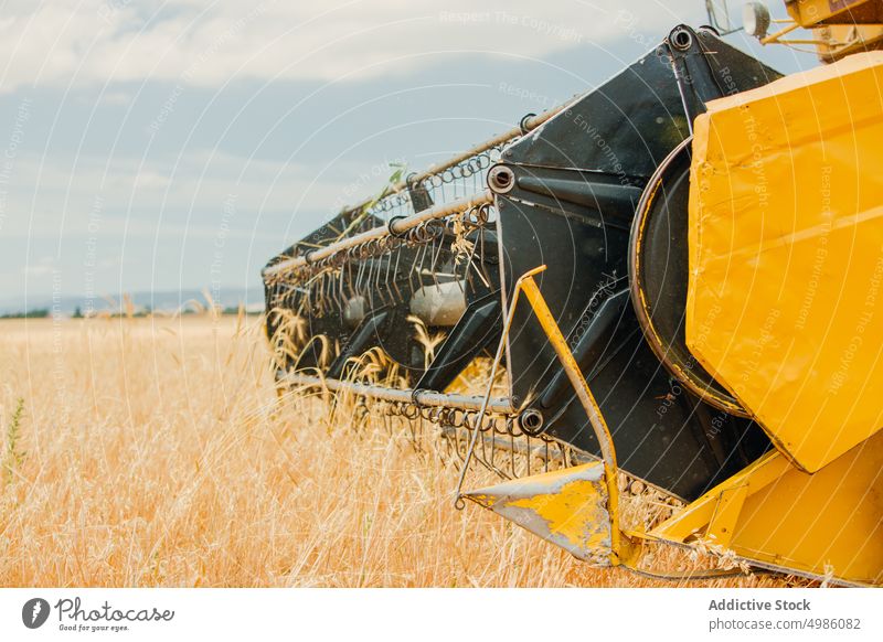 Mähdrescher bei der Arbeit in einem Getreidefeld Ackerbau Gerste Müsli Landschaft Schmutz Umwelt Gerät Bauernhof Feld Korn Ernte industriell im Freien mähen