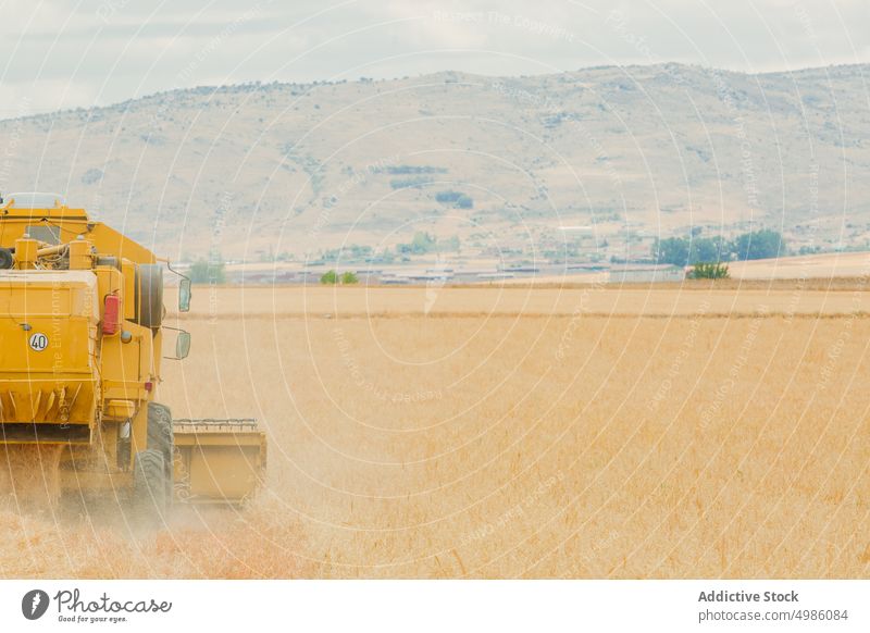 Mähdrescher bei der Arbeit in einem Getreidefeld Ackerbau Gerste Müsli Landschaft Schmutz Umwelt Gerät Bauernhof Feld Korn Ernte industriell im Freien mähen