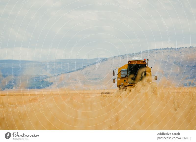 Mähdrescher bei der Arbeit in einem Getreidefeld Ackerbau Gerste Müsli Landschaft Schmutz Umwelt Gerät Bauernhof Feld Korn Ernte industriell im Freien mähen