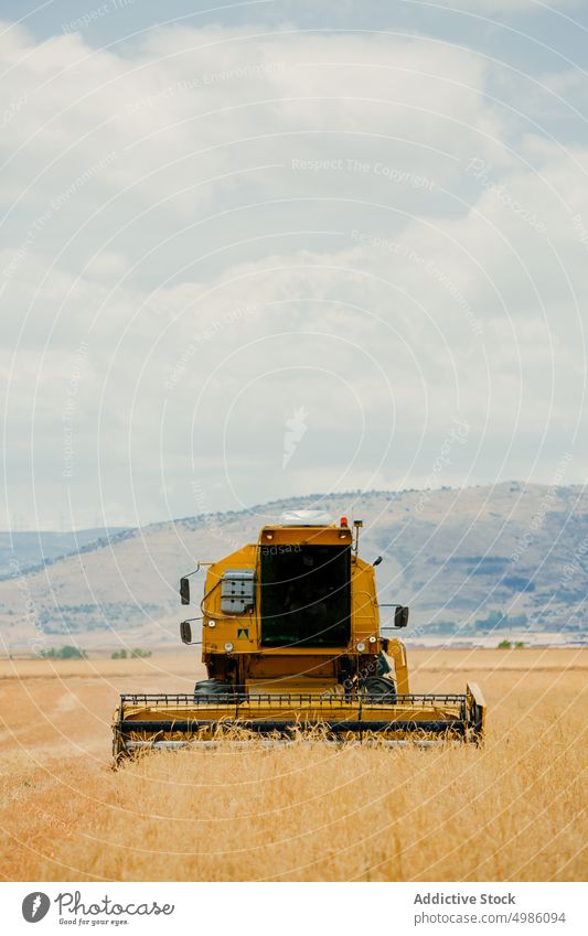 Mähdrescher bei der Arbeit in einem Getreidefeld Ackerbau Gerste Müsli Landschaft Schmutz Umwelt Gerät Bauernhof Feld Korn Ernte industriell im Freien mähen