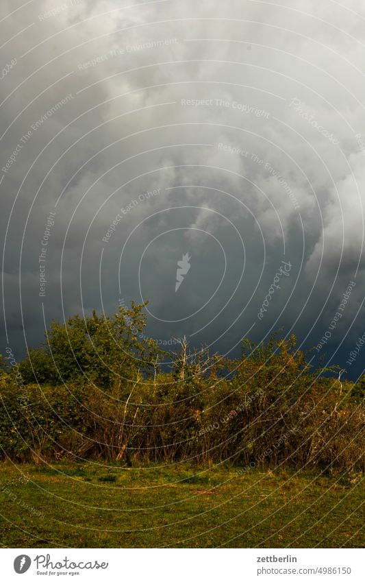 Tiefdruckgebiet wolke wolkenfeld wind wetter umwelt textfreiraum sommer romantisch meteorologie menschenleer klimawandel horizont hintergrund himmel haufenwolke