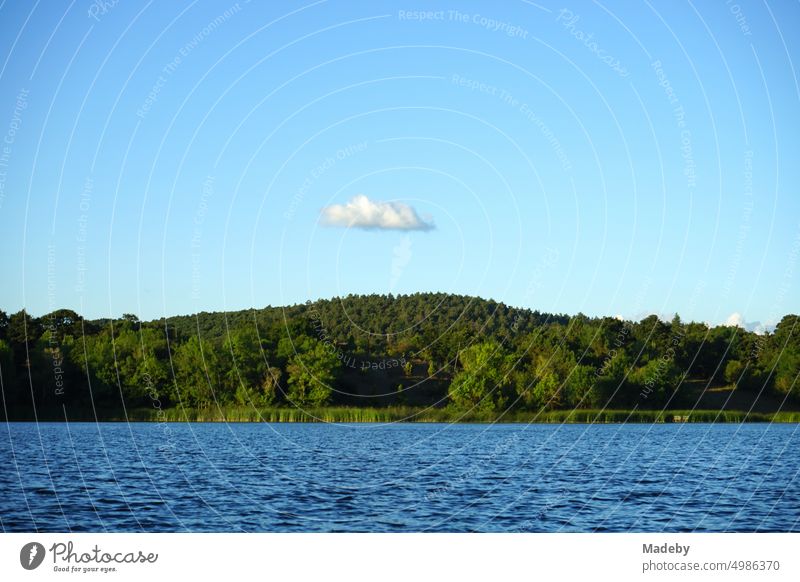 Einsame Wolke auf blauem Himmel über dem Biotop und Naturschutzgebiet im Sommer bei Sonnenschein am Poyrazlar Gölü bei Adapazari in der Provinz Sakarya in der Türkei