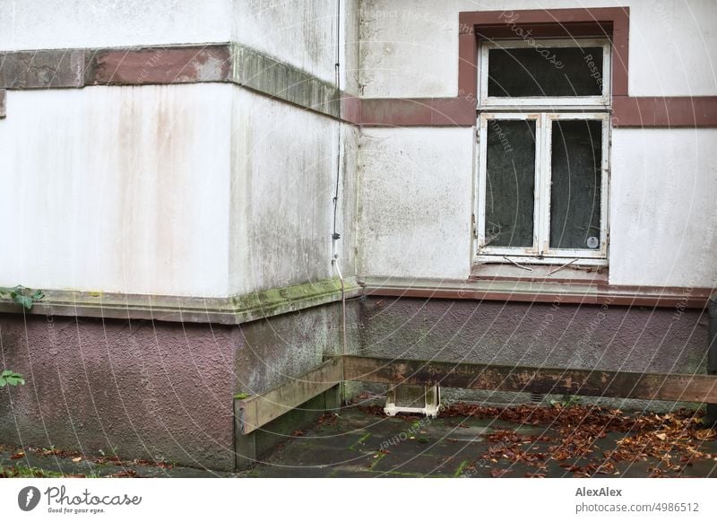 HH Tour Unbenannte Straße | Hausecke mit Fenster, verwitterte Fassade und Herbstlaub Gebäude alt Laub historisch Fensterrahmen weiß schmutzig Gehegsplatten