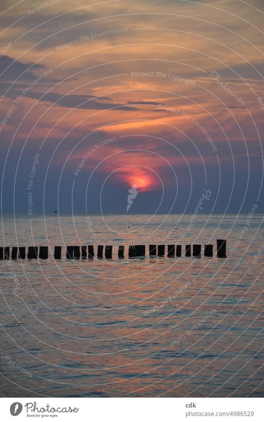 Sommer am Meer | Sonnenuntergang an der Ostsee Wasser Ferien & Urlaub & Reisen Natur abends am Abend Küste Landschaft Wellen Tourismus Erholung Ostseeküste