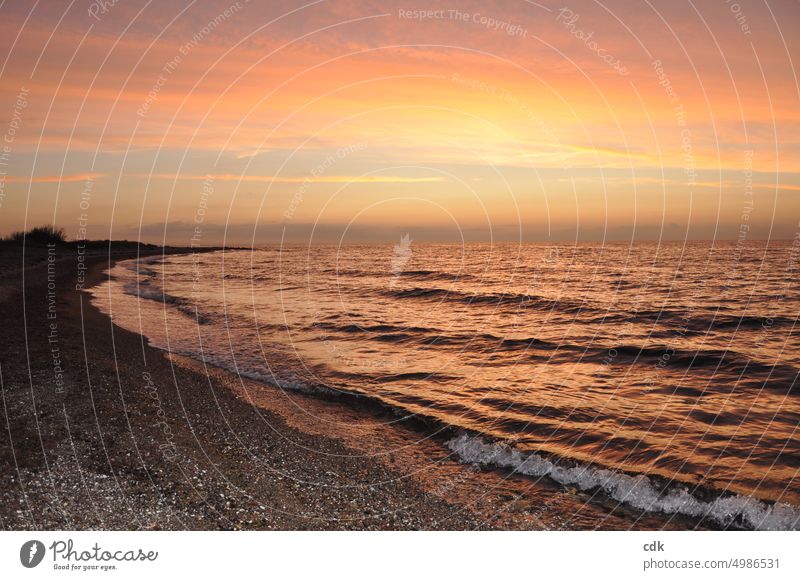 Sonnenuntergang am Meer | goldenes Licht an der Ostsee. Sommer Ferien & Urlaub & Reisen Tourismus Wellen Erholung Himmel Wasser Küste Horizont Strand Natur