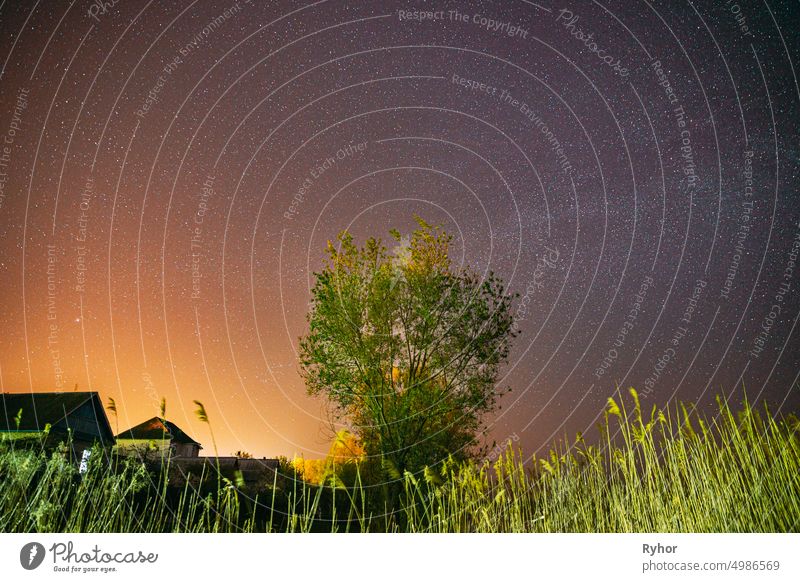 Milchstraße Galaxie in der Nacht Sternenhimmel über jungen grünen einsamen Baum im Frühling Nacht. Glühende Sterne über Landschaft. Sonnenuntergang Sonnenaufgang Morgendämmerung Farben Himmel