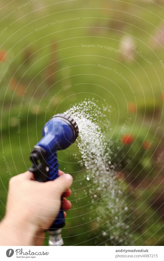 Die Hand des Gärtners hält einen Schlauch mit einer Spritze und bewässert die Pflanzen im Garten. Berieselung Druck Werkzeug strömen Sprinkleranlage bewässern