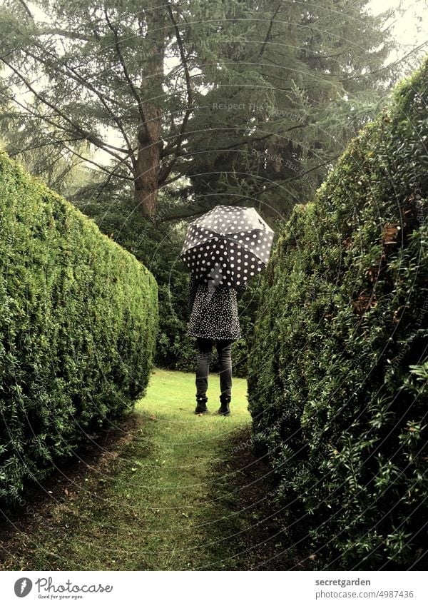 [HH unnamed road] Abgrenzung hoch Märchenhaft Mary Poppins Klima Mantel feucht Umwelt Herbst Friedhof Natur Wasser Gedeckte Farben Wetter Schutz Tag Mensch