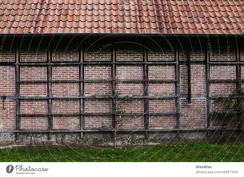 Backsteinhaus mit Rankhilfe aus Holzlatten und rotem Ziegeldach Haus Backsteine Dach Gebäude Stall Scheune Gras Pflanzen Rasen grün Klinker Dachziegel Quadrate