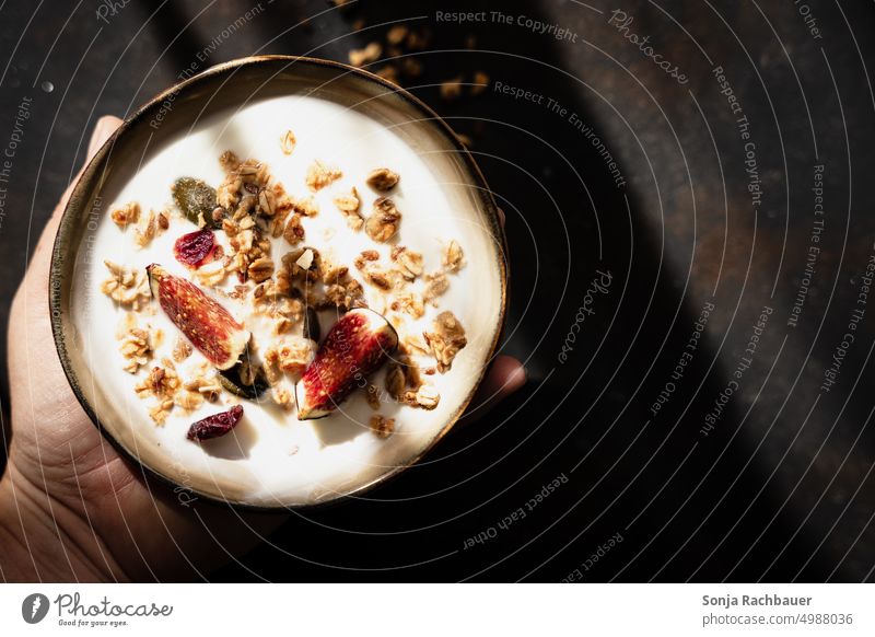 Eine Hand hält eine Schüssel mit Granola, Joghurt und Feigen. Rustikaler Hintergrund. Frühstück frisch Diät Müsli lecker organisch süß Schalen & Schüsseln