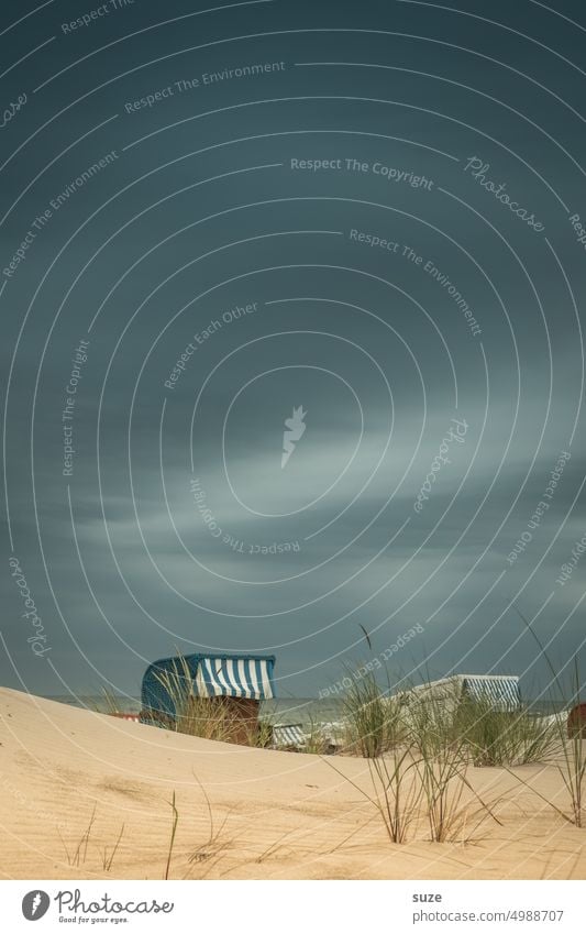 Ab ins Körbchen! Strand Ostsee Strandkorb Himmel Küste Ferien & Urlaub & Reisen Sand blau Erholung Meer Düne Dünengras maritim Seeluft Landschaft Natur