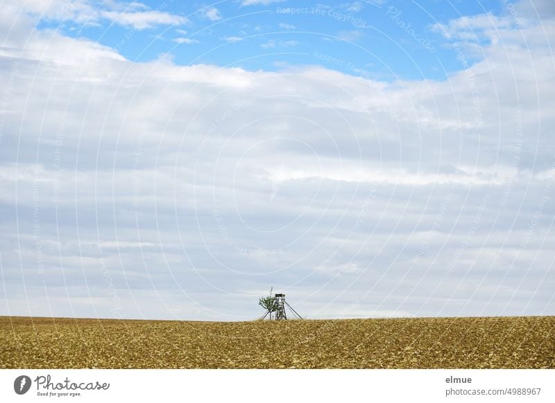 Hochsitz aus Holz mit einem kleinen Laubbaum inmitten eines abgeernteten Feldes vor teils bedecktem Himmel / Jagdwesen Jagdkanzel Bockgerüst Hochstand