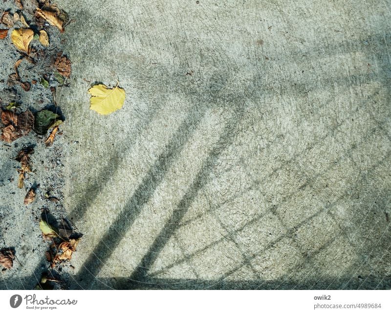 Stillschweigend Metallgitter Metallzaun Barriere Strukturen & Formen Schattenwurf Waldweg Beton Pfad Weg Außenaufnahme Sonnenlicht Detailaufnahme Bogenbrücke