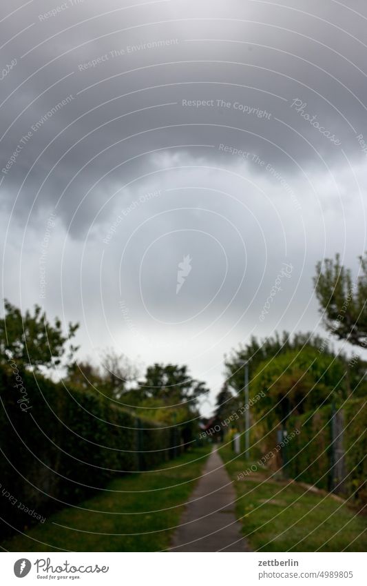 Weg durch die Kleingartenkolonie unter Wolken abend altocumulus ast baum drohend dunkel dämmerung düster erholung feierabend froschperspektive gewitter