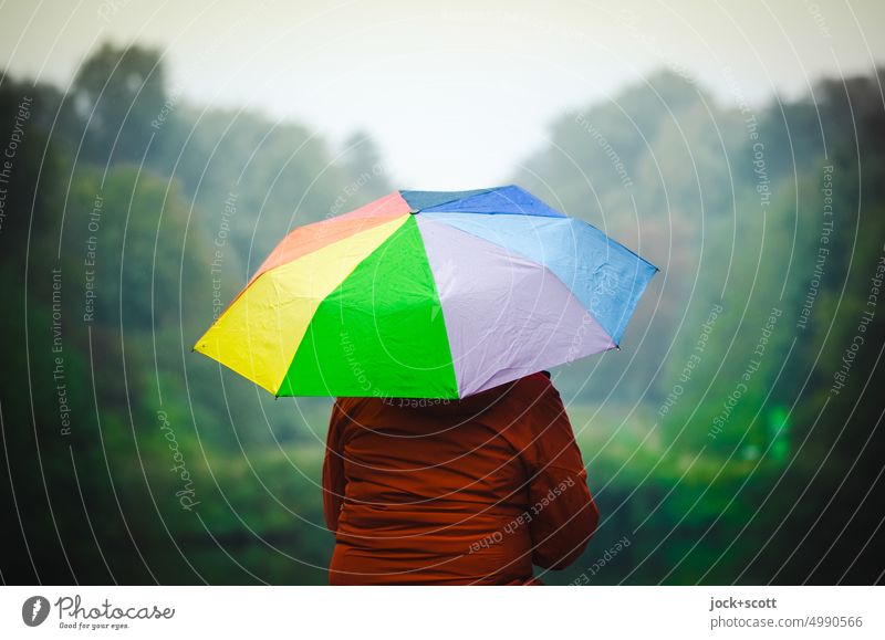 [HH Unnamed Road] bunter Regenschirm im Nieselregen Frau Rückansicht regnerisch kühl feucht schlechtes Wetter Lifestyle Melancholie Herbst Mensch kalt fauna